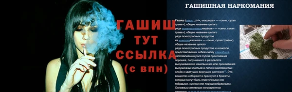 ПСИЛОЦИБИНОВЫЕ ГРИБЫ Абаза